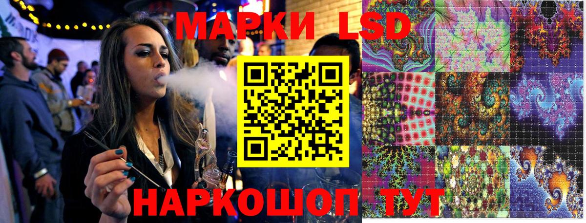 Псилоцибиновые грибы Вышний Волочёк