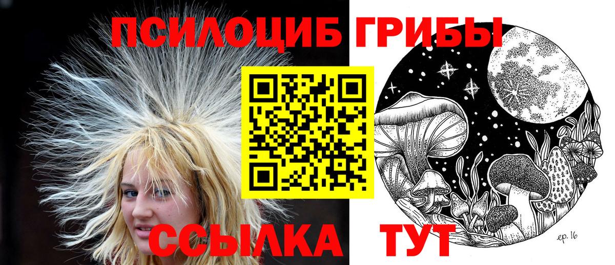 Галлюциногенные грибы Psilocybe  Вход с VPN  Вышний Волочёк  Псилоцибиновые грибы мицелий 